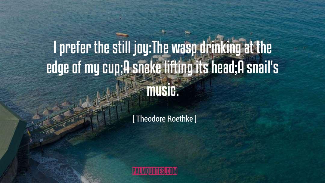 Tekleab Music quotes by Theodore Roethke