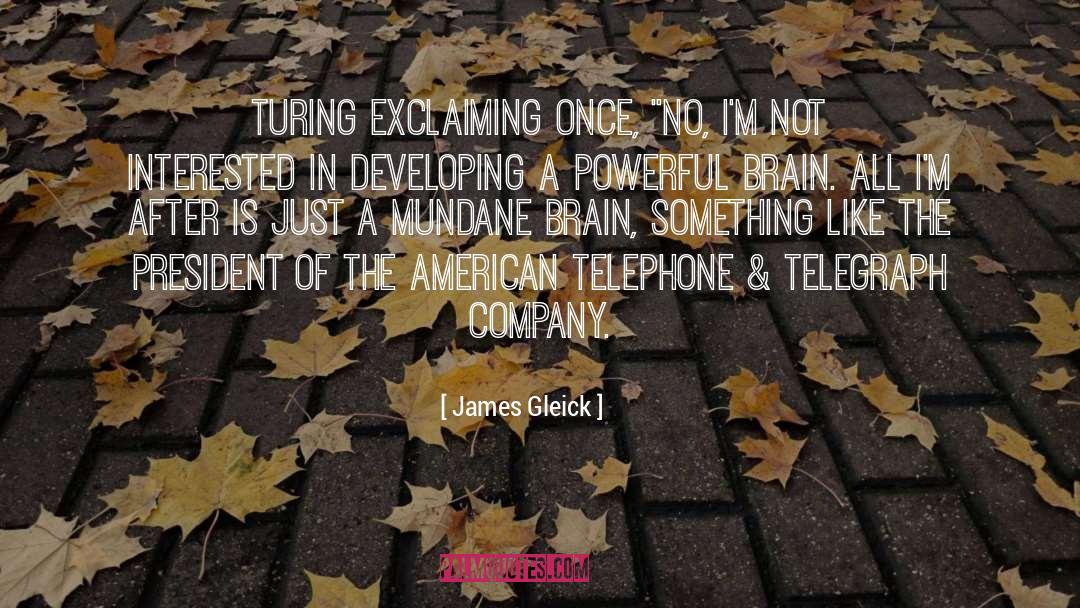 Telephone Etiquette quotes by James Gleick