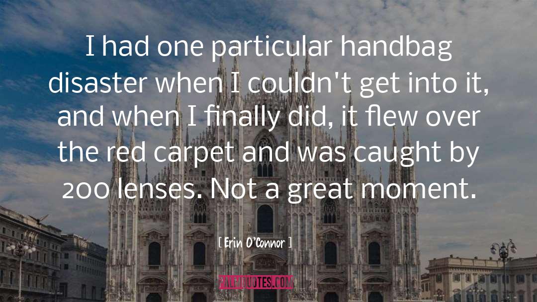 Telephoto Lenses quotes by Erin O'Connor