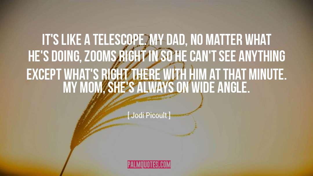 Telescope quotes by Jodi Picoult