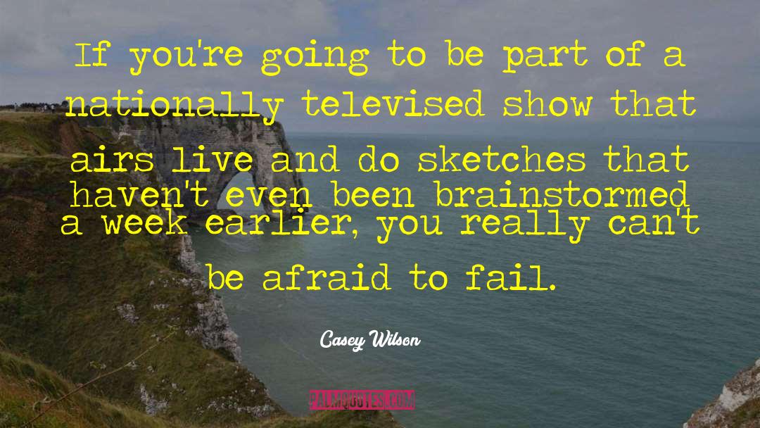 Televised quotes by Casey Wilson