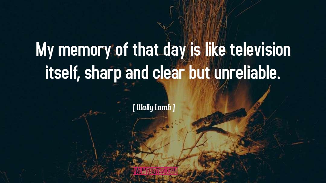 Television Aerials quotes by Wally Lamb