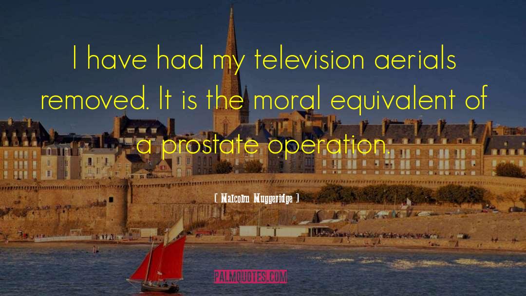 Television Aerials quotes by Malcolm Muggeridge