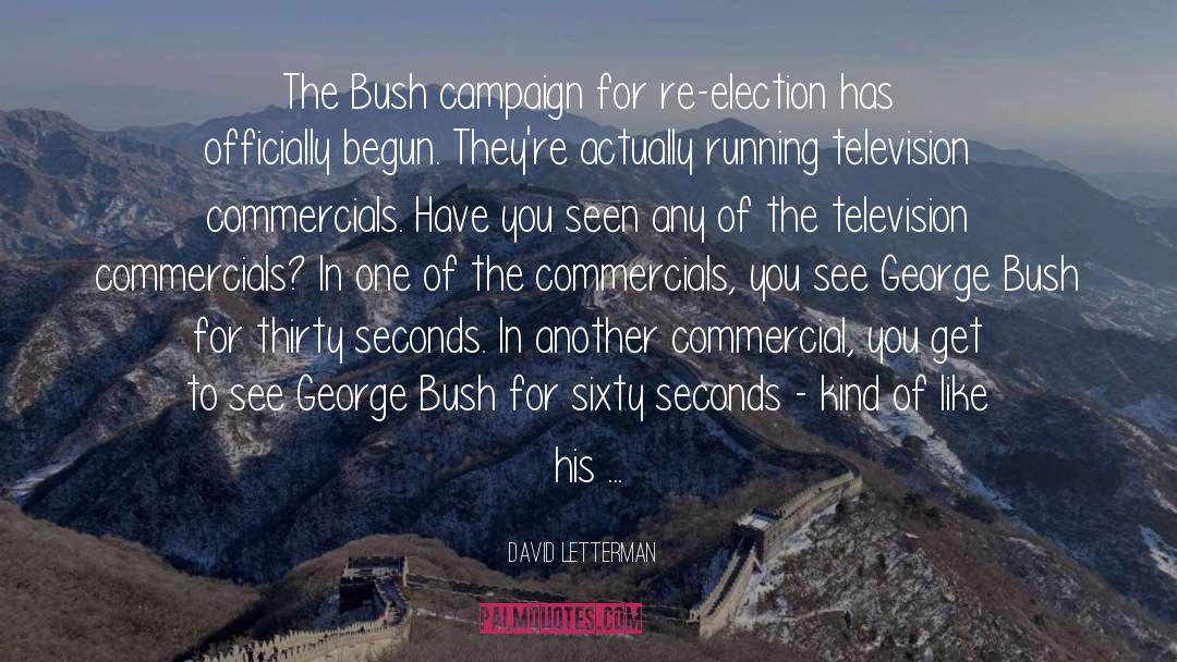 Television Commercials quotes by David Letterman