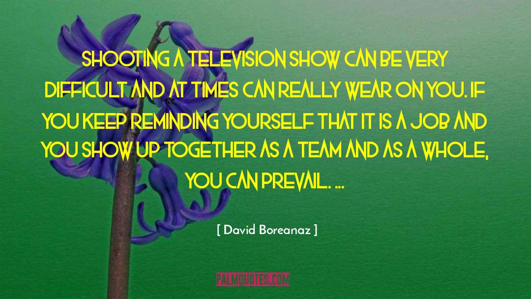 Television Drama quotes by David Boreanaz