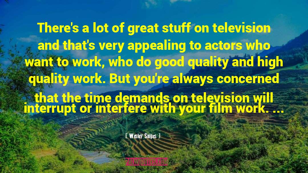 Television Industry quotes by Wesley Snipes