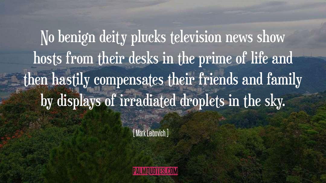 Television News quotes by Mark Leibovich