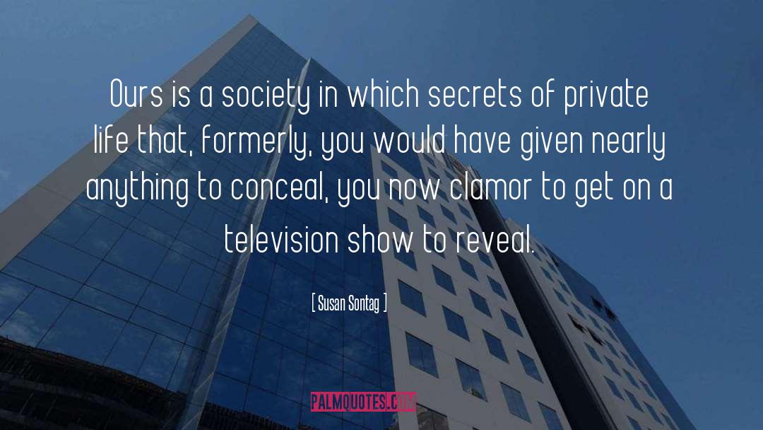 Television Show quotes by Susan Sontag
