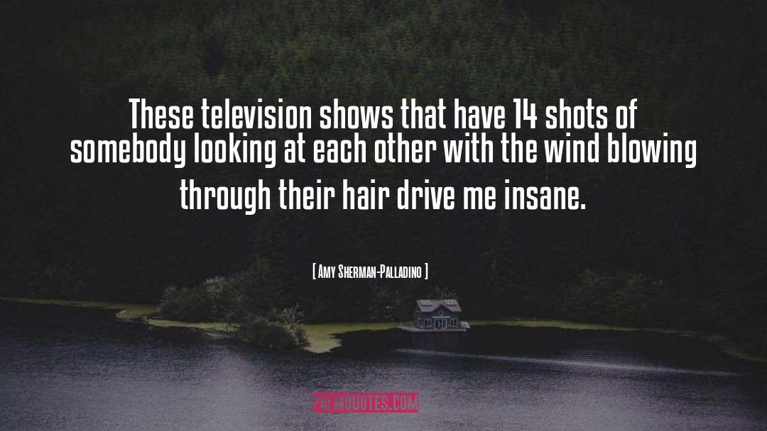 Television Shows quotes by Amy Sherman-Palladino