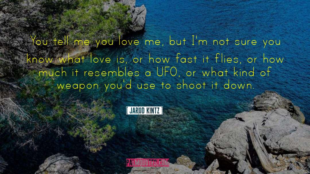 Tell Me You Love Me quotes by Jarod Kintz