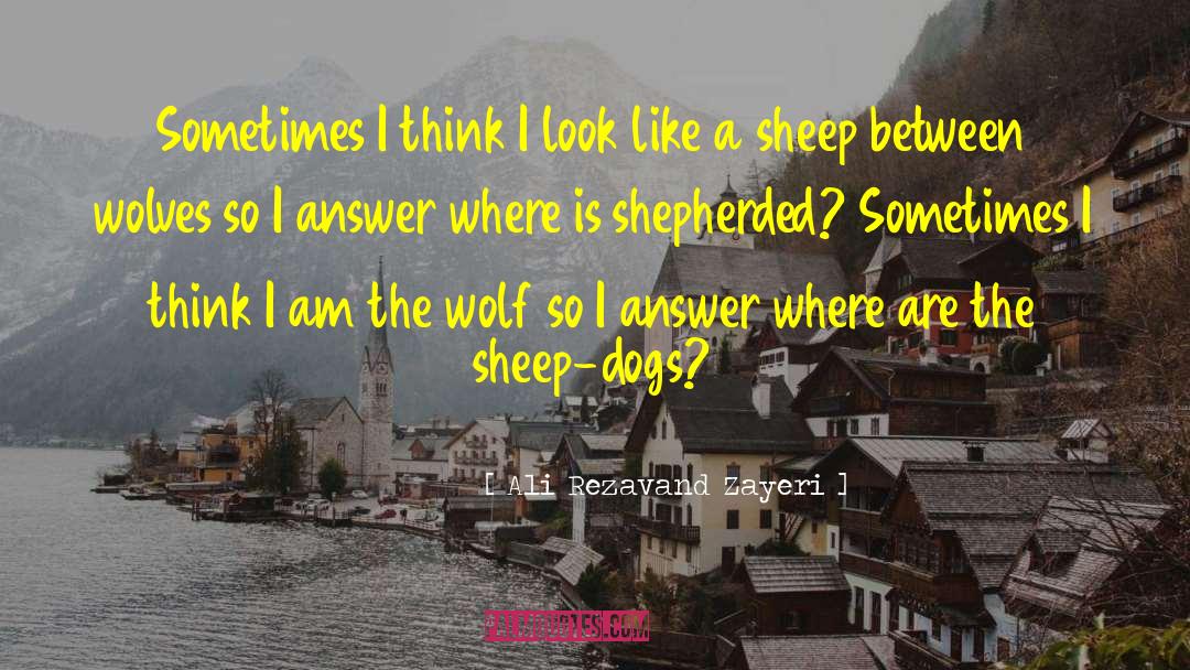 Tell The Wolves I M Home quotes by Ali Rezavand Zayeri