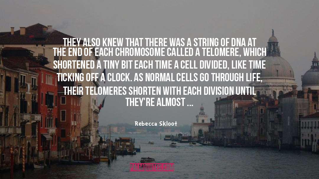 Telomerase quotes by Rebecca Skloot