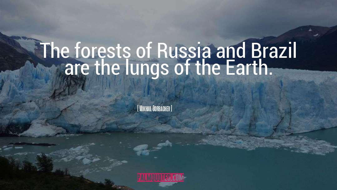 Temperate Seasonal Forests quotes by Mikhail Gorbachev