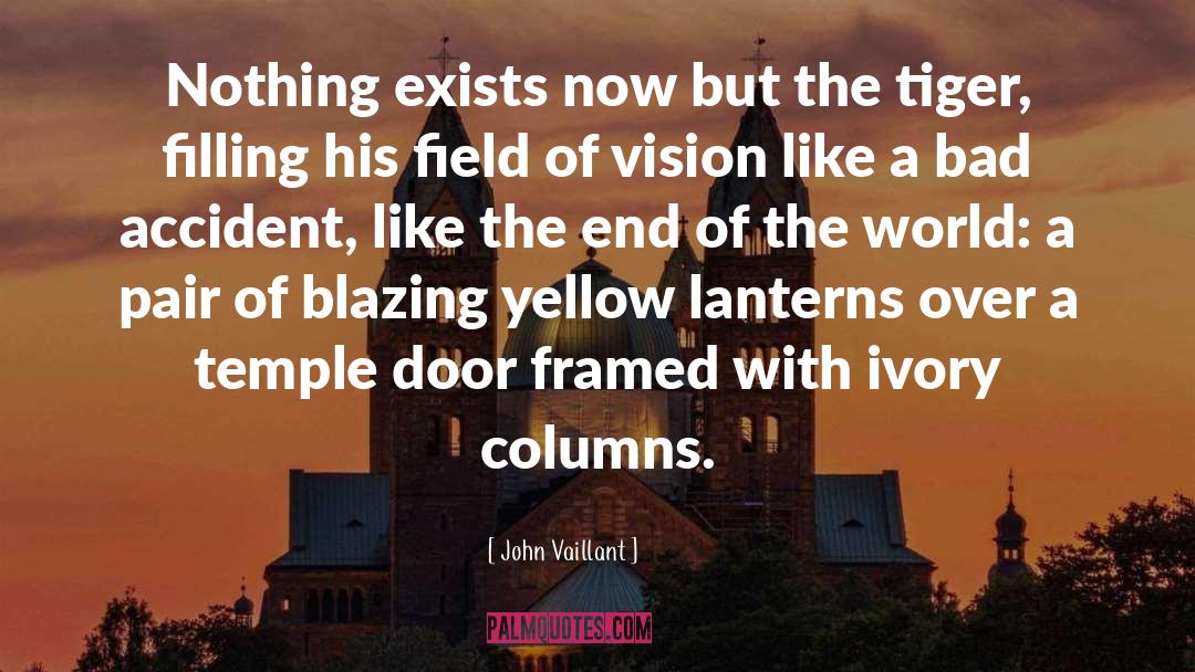 Temple Of Solomon quotes by John Vaillant