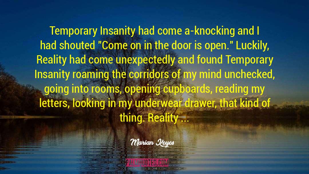 Temporary Insanity quotes by Marian Keyes
