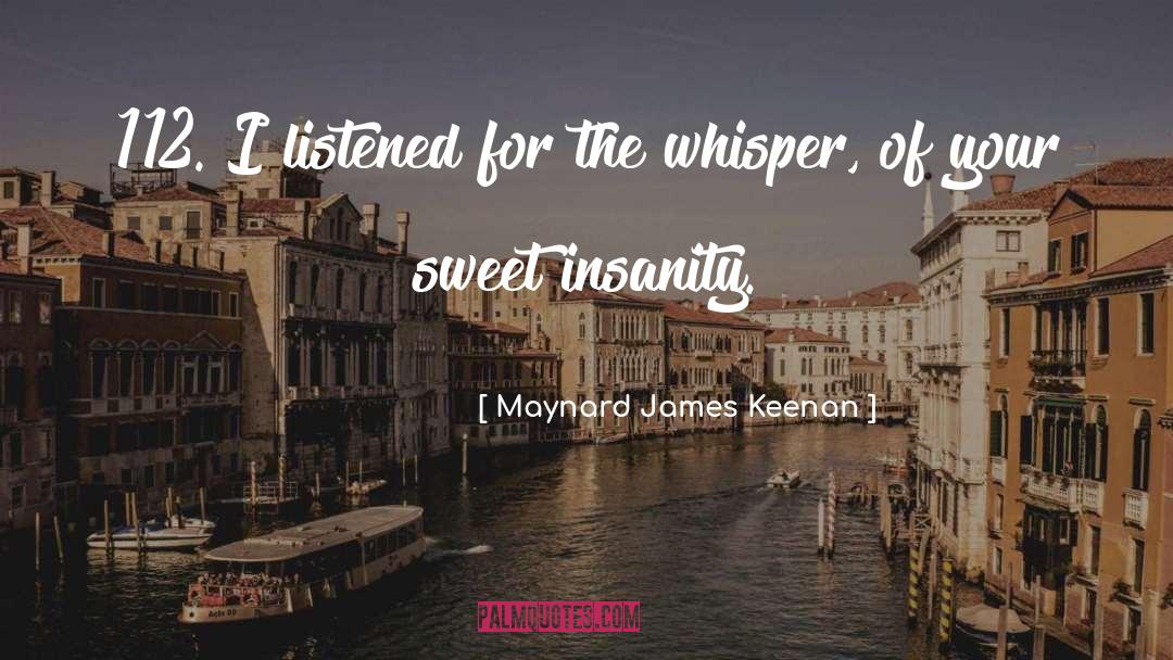 Temporary Insanity quotes by Maynard James Keenan