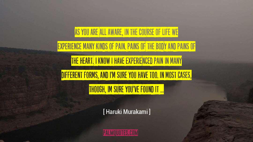 Temporary Joy quotes by Haruki Murakami