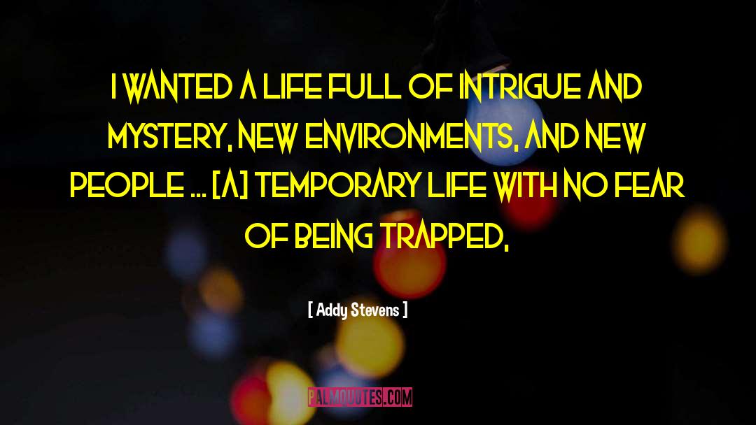 Temporary Life quotes by Addy Stevens