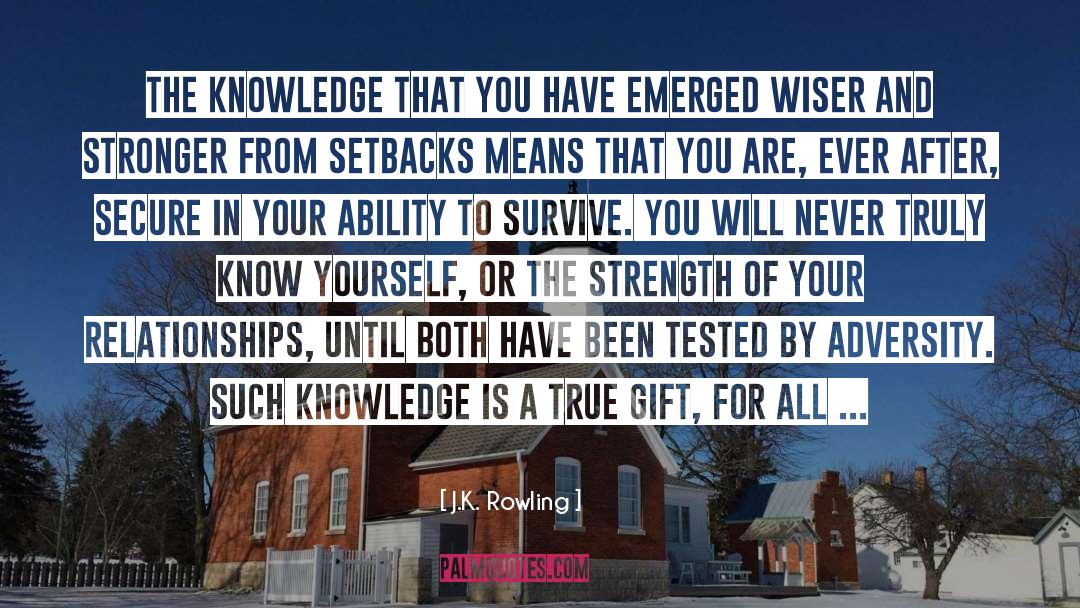 Temporary Setbacks quotes by J.K. Rowling