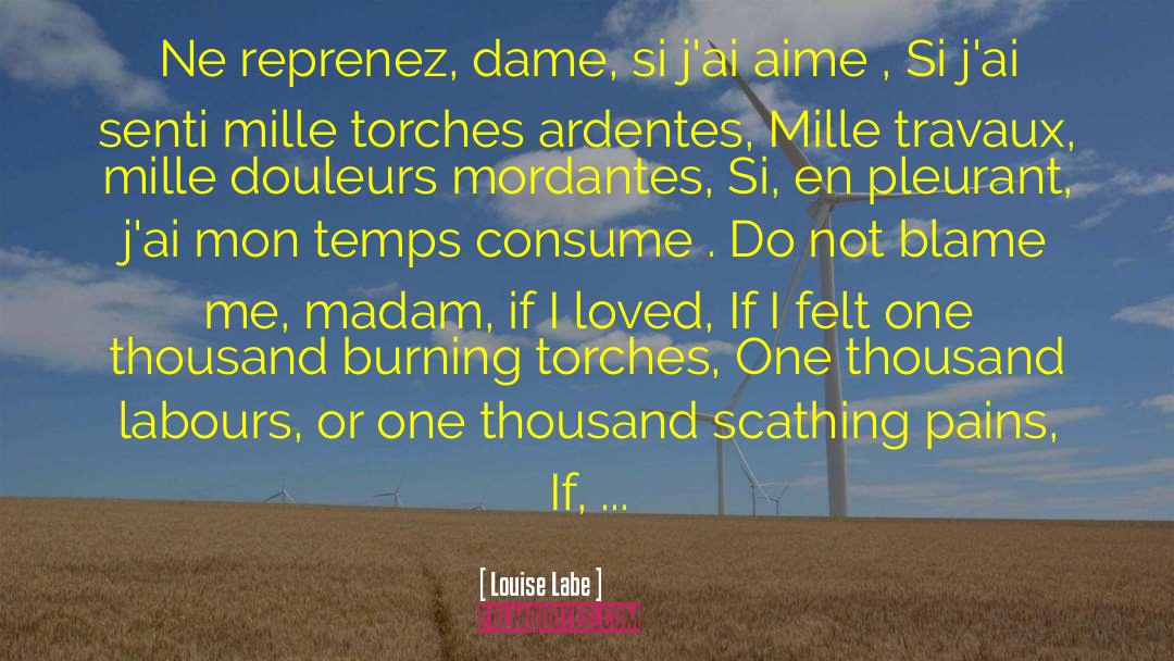 Temps quotes by Louise Labe