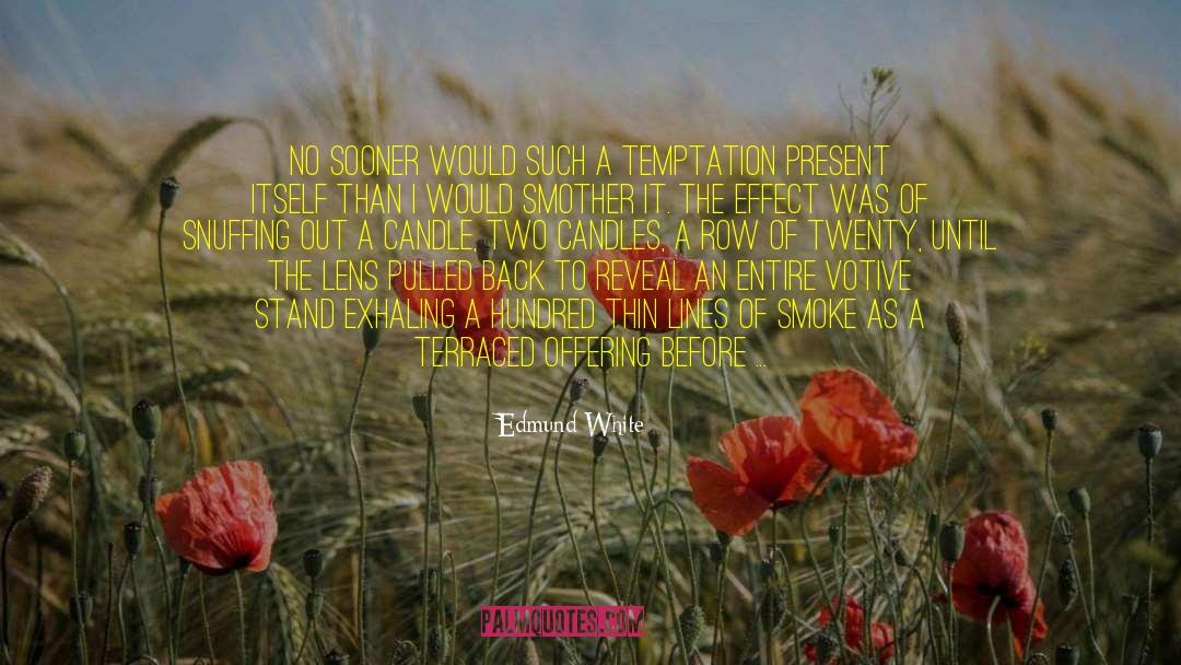 Temptation And Twilight quotes by Edmund White