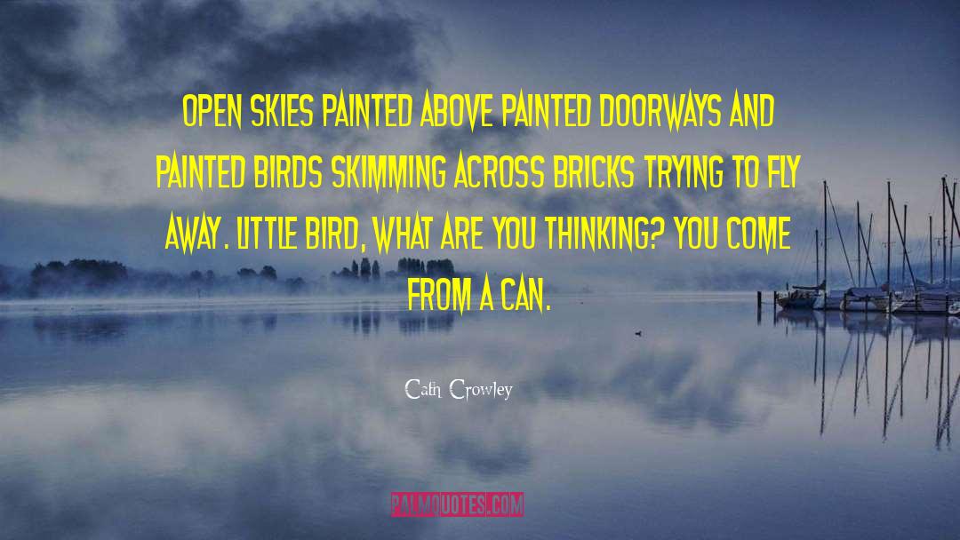 Ten Thousand Skies Above You quotes by Cath Crowley