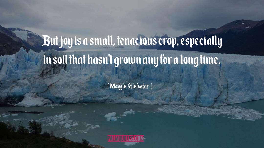 Tenacious quotes by Maggie Stiefvater