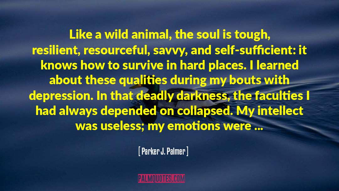 Tenacious quotes by Parker J. Palmer
