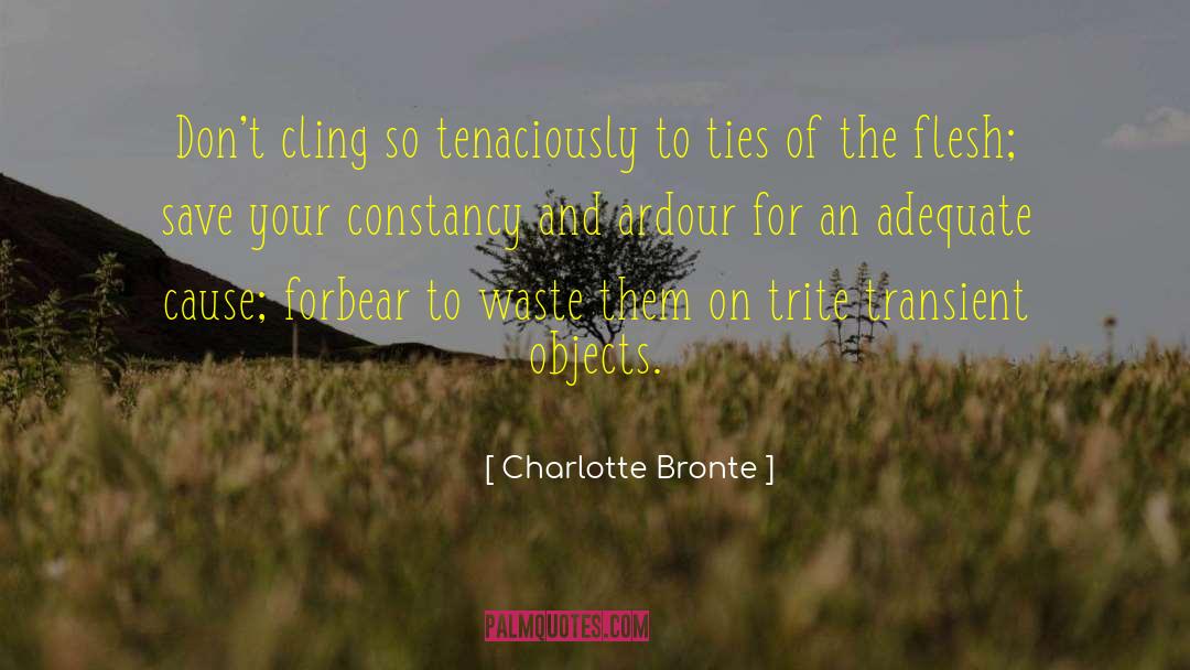 Tenaciously quotes by Charlotte Bronte