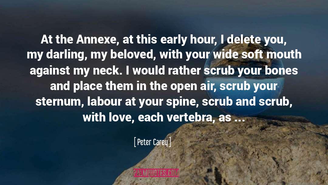 Tenant quotes by Peter Carey