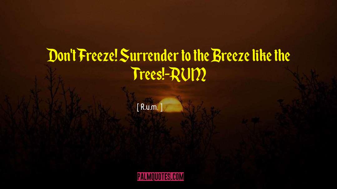 Tender Breeze quotes by R.v.m.