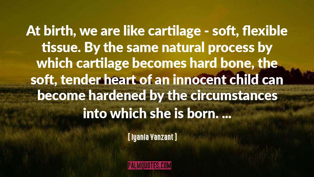 Tender Heart quotes by Iyanla Vanzant