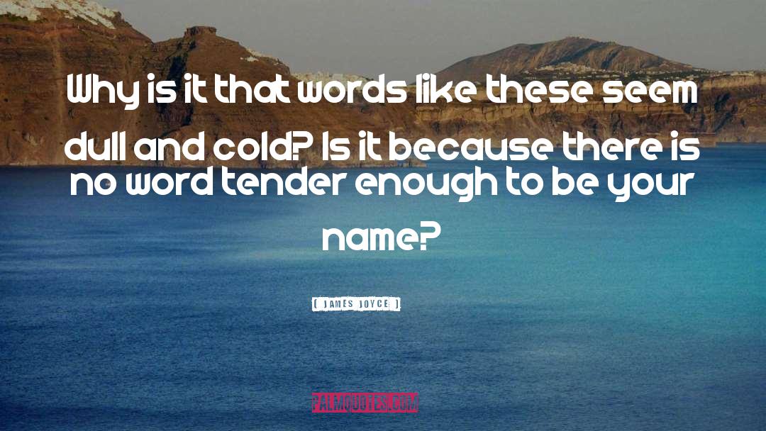 Tender Hearts quotes by James Joyce