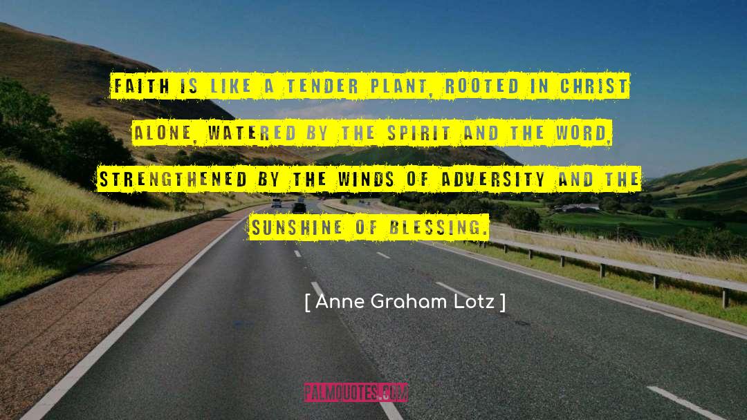 Tender Indifference quotes by Anne Graham Lotz