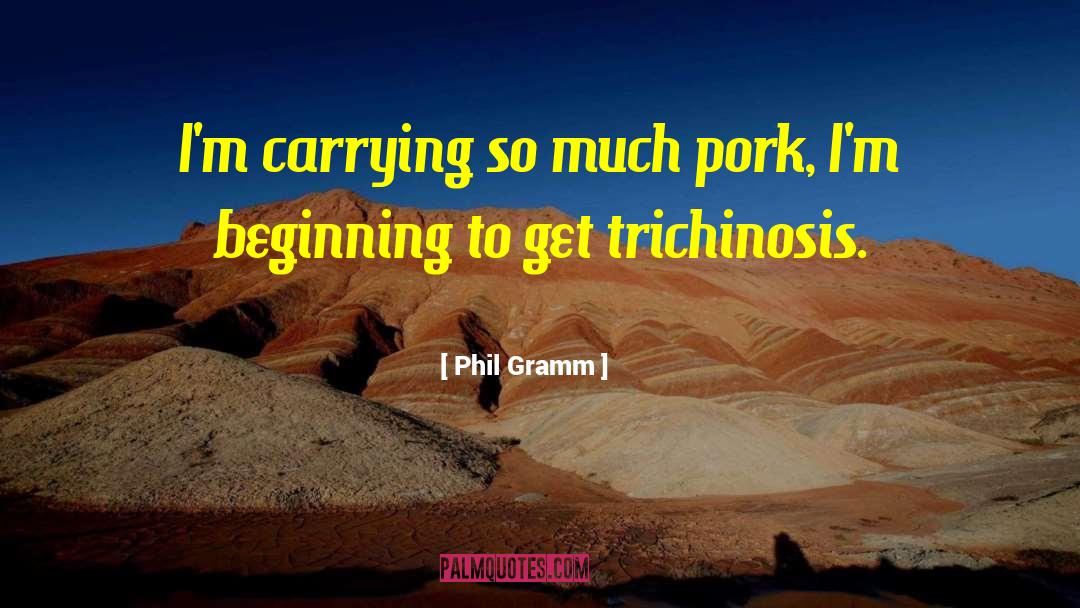 Tenderize Pork quotes by Phil Gramm