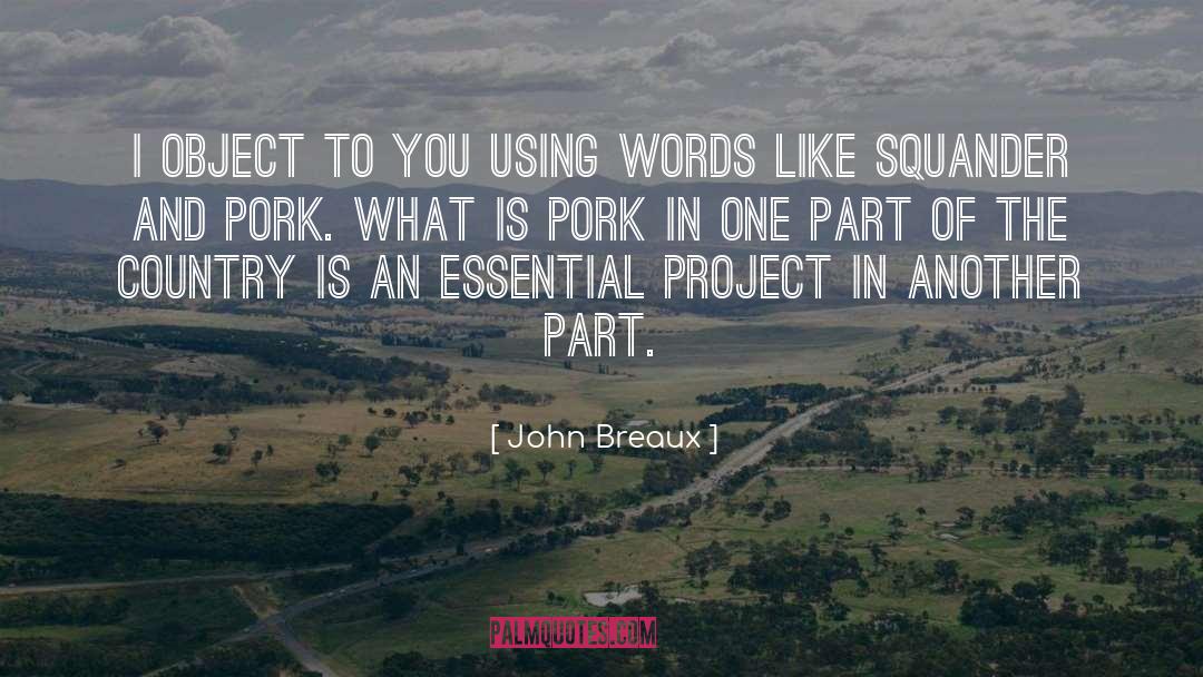 Tenderize Pork quotes by John Breaux