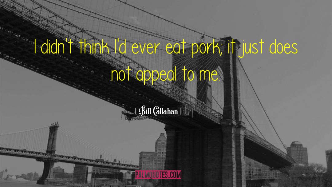 Tenderize Pork quotes by Bill Callahan