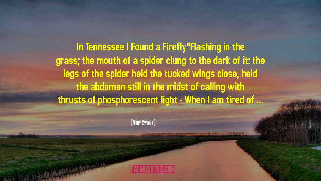 Tennessee quotes by Mary Szybist