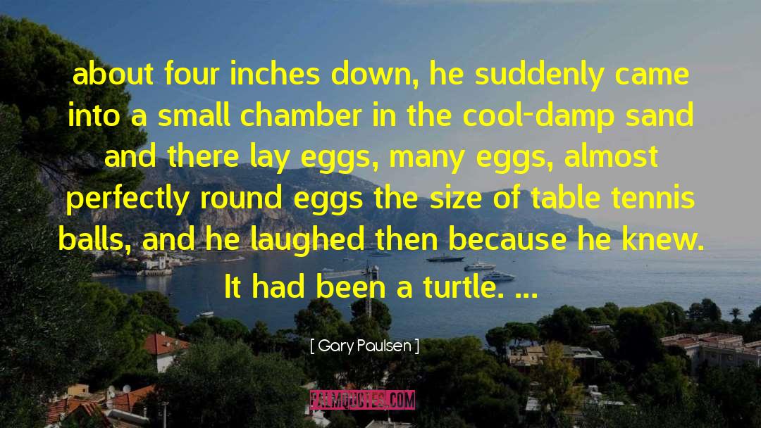 Tennis Balls quotes by Gary Paulsen