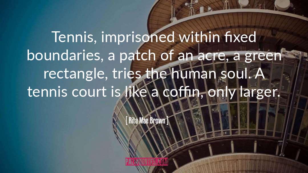 Tennis Court quotes by Rita Mae Brown