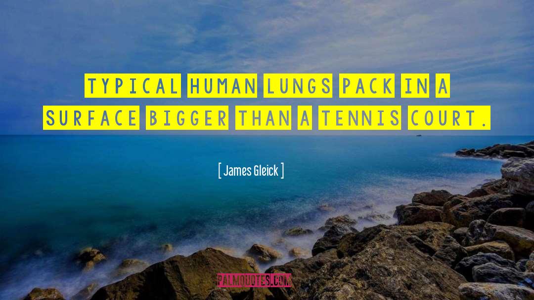 Tennis Court quotes by James Gleick