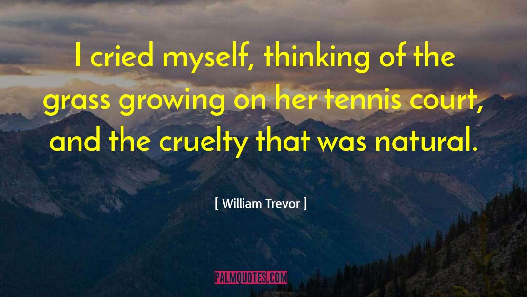 Tennis Romantic quotes by William Trevor