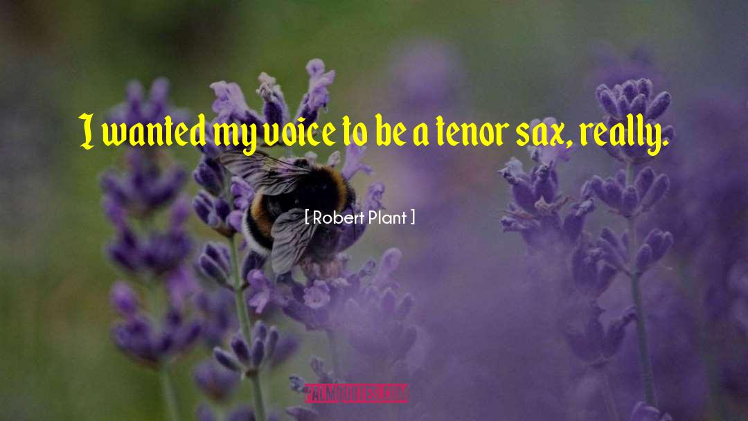 Tenor quotes by Robert Plant
