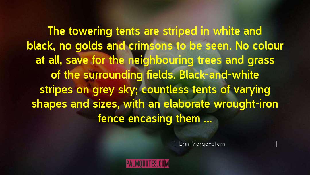 Tents quotes by Erin Morgenstern