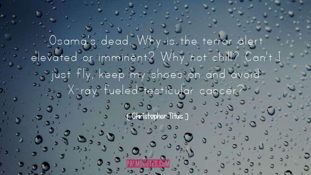 Terminal Cancer quotes by Christopher Titus