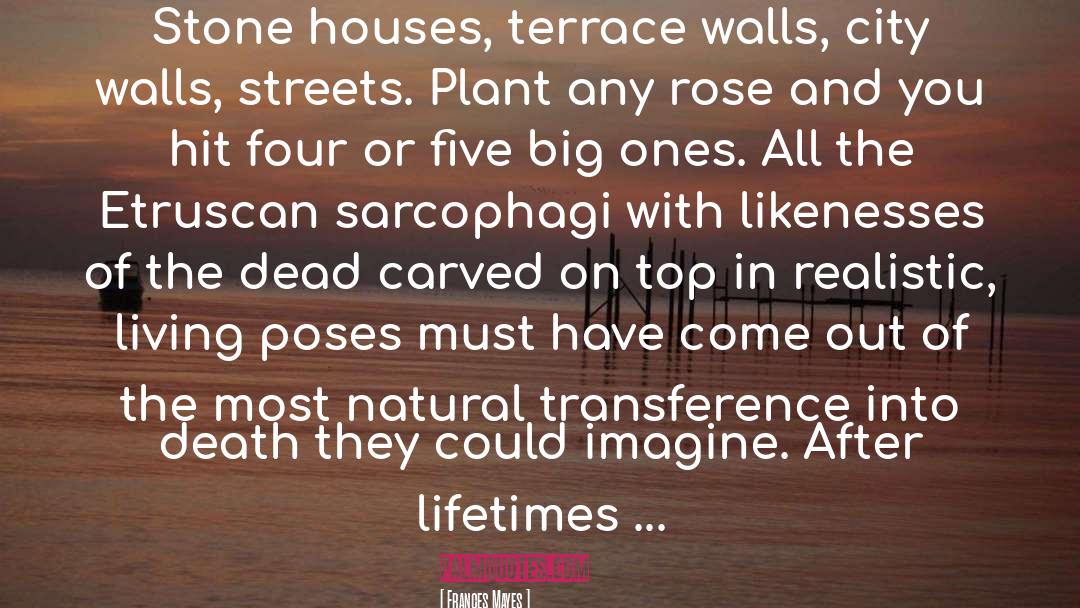 Terrace quotes by Frances Mayes