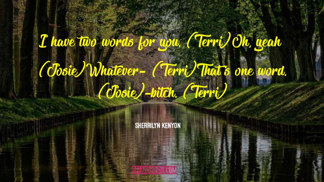Terri Guillemets Inspirational quotes by Sherrilyn Kenyon