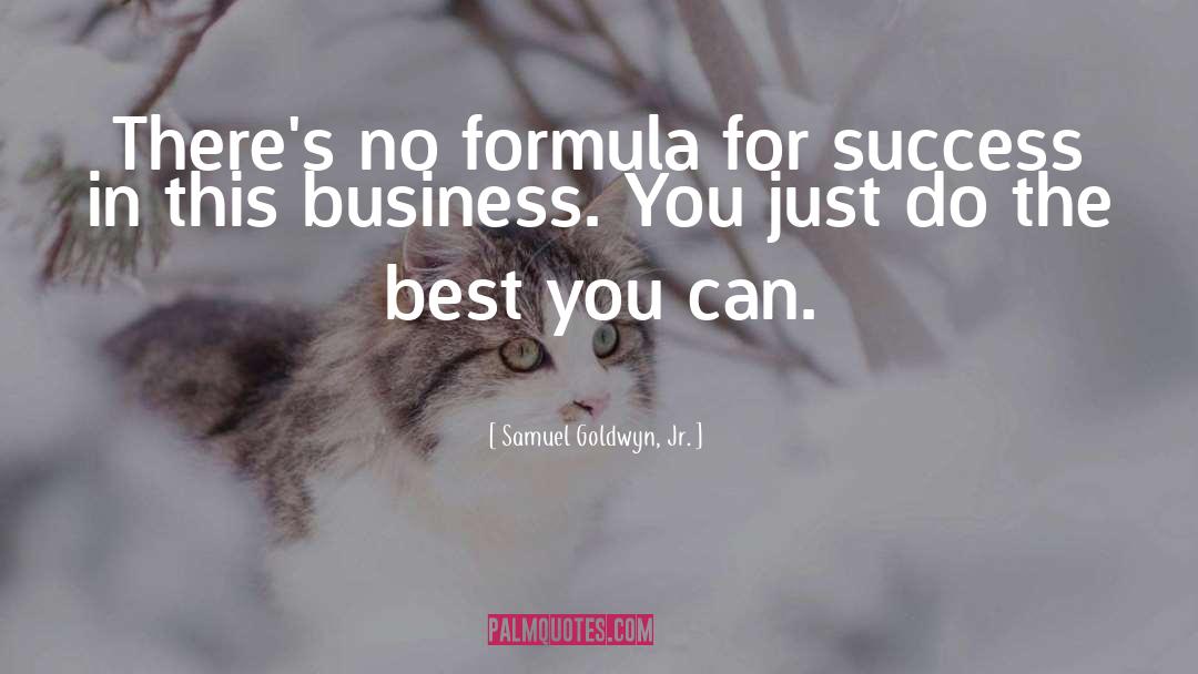 Terrible Business quotes by Samuel Goldwyn, Jr.