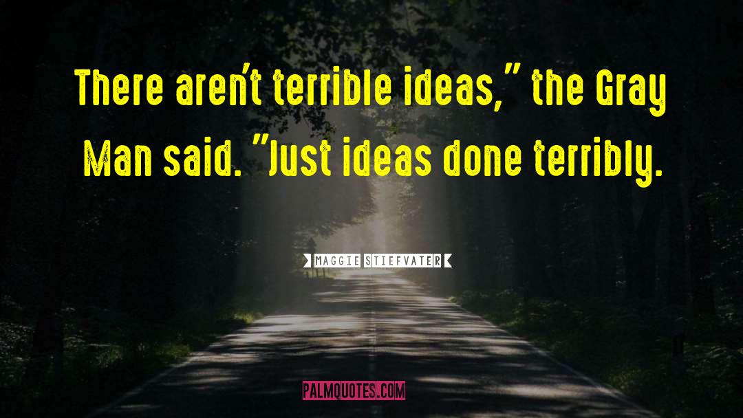 Terrible Ideas quotes by Maggie Stiefvater