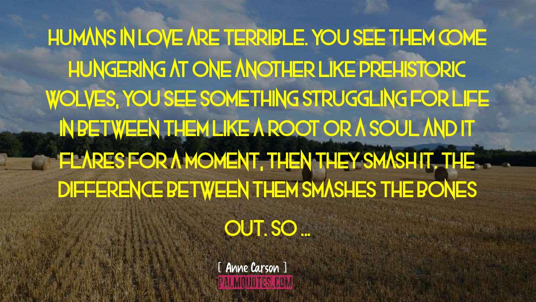 Terrible Tragedy quotes by Anne Carson